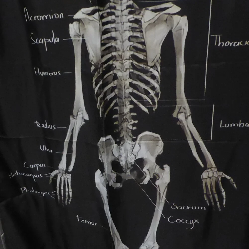 NEW GOTHIC HALLOWEEN SKELETON MEDICAL ANATOMY ILLUSTRATION SHOWER CURTAIN ODDITY